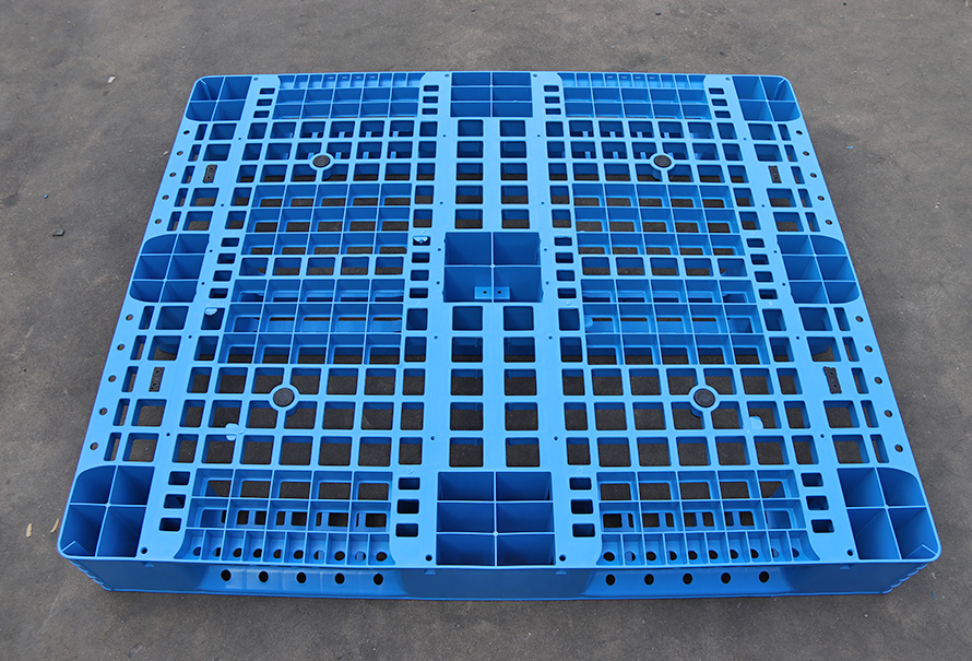 1210川字世界杯shijiebei（中国）11.5kg